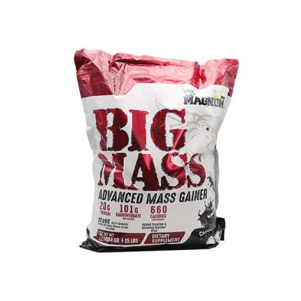 مگنوم پودر بيگ مس 6804 گرمي